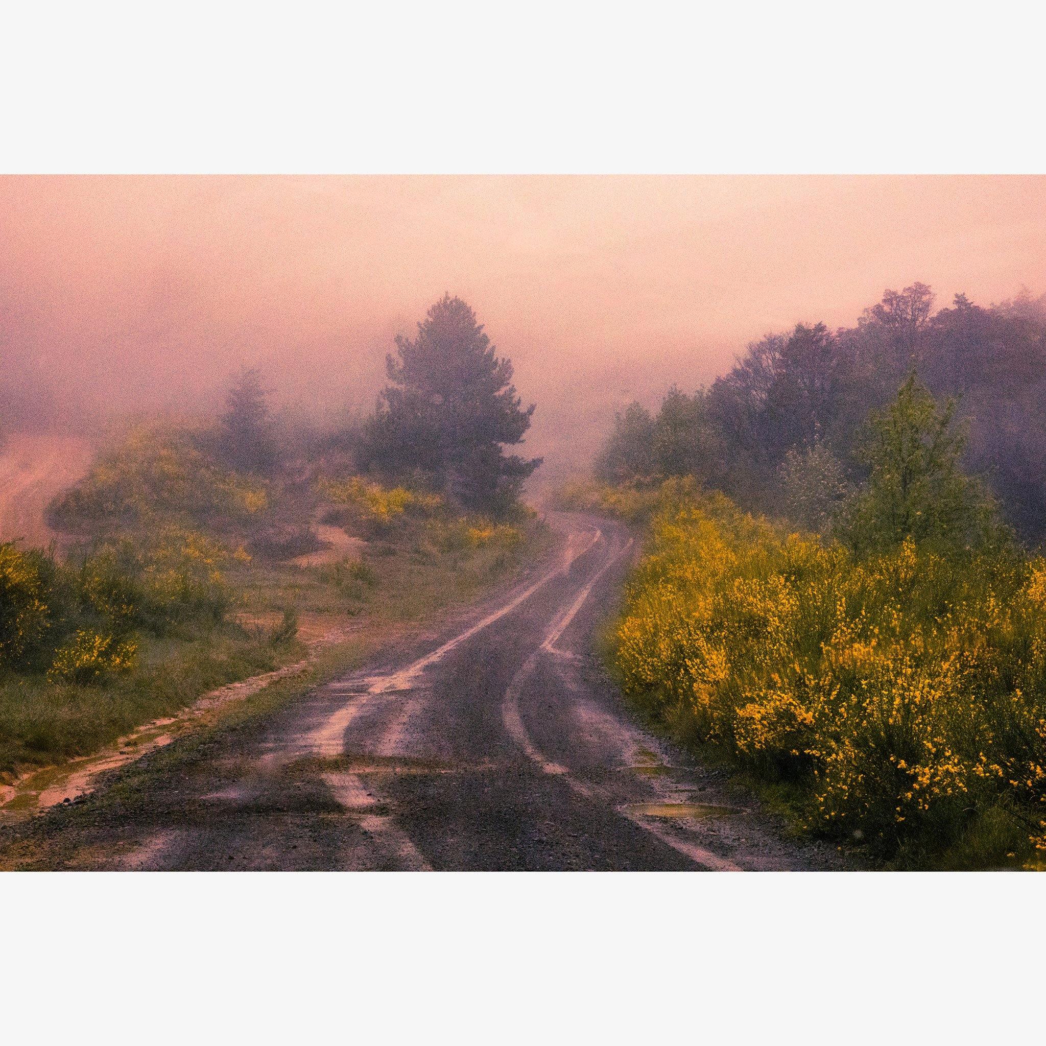 Photograph by Brian Merriam