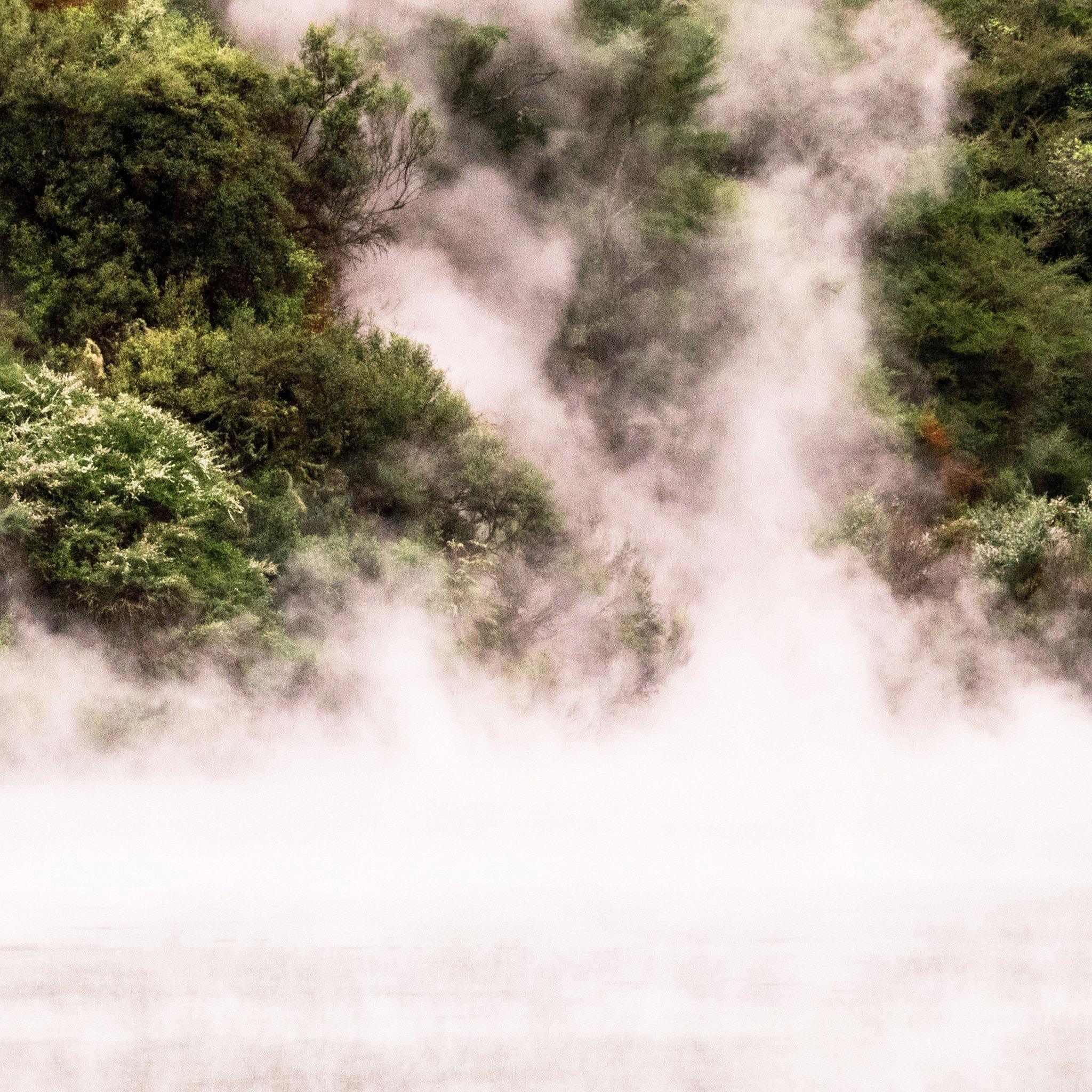 Photograph by Brian Merriam