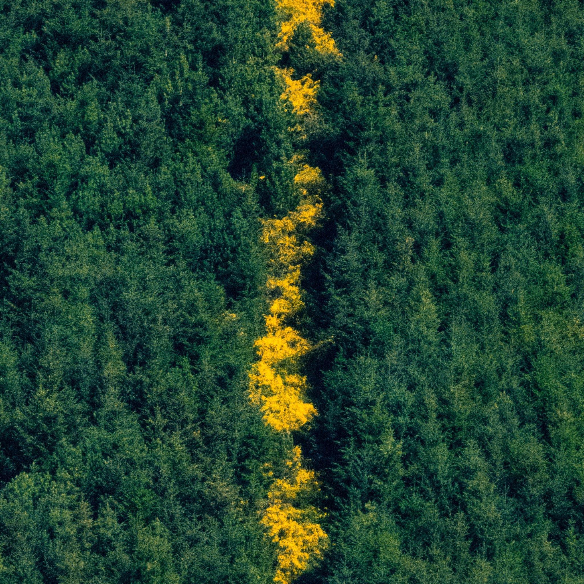 Photograph by Brian Merriam