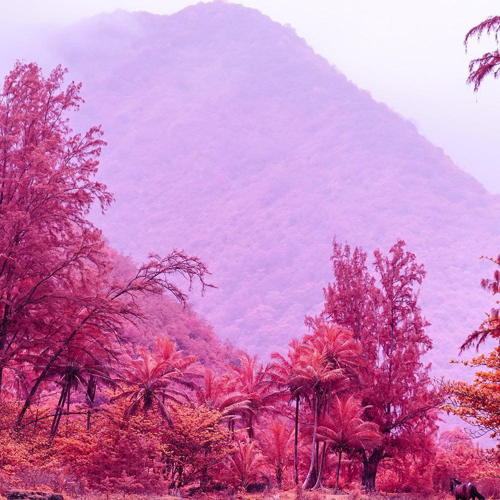 Photograph by Brian Merriam