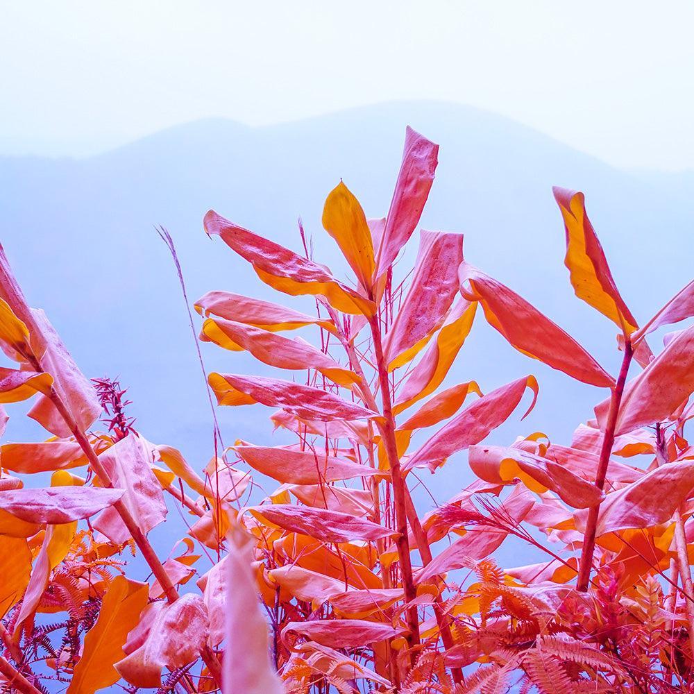Photograph by Brian Merriam