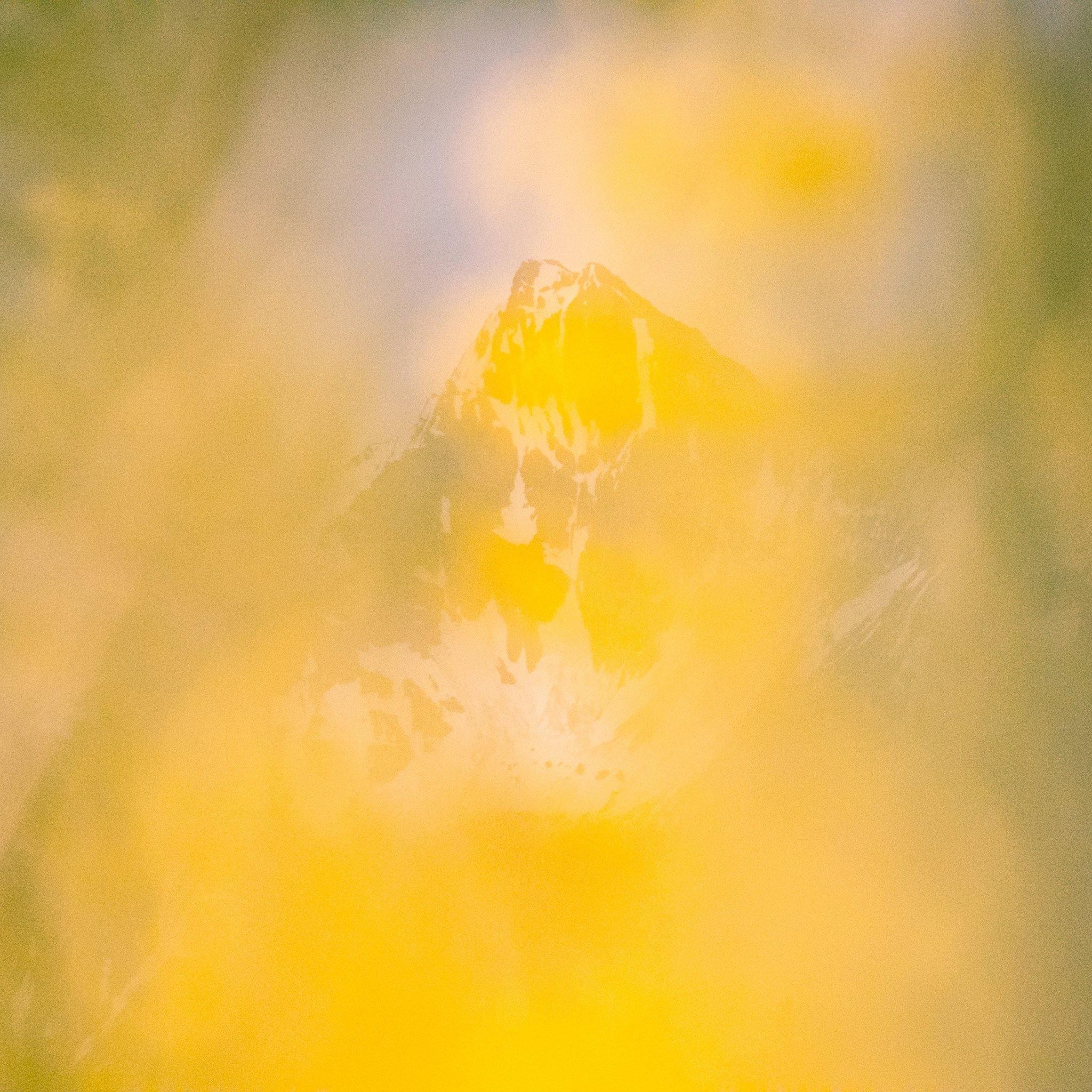 Photography by Brian Merriam