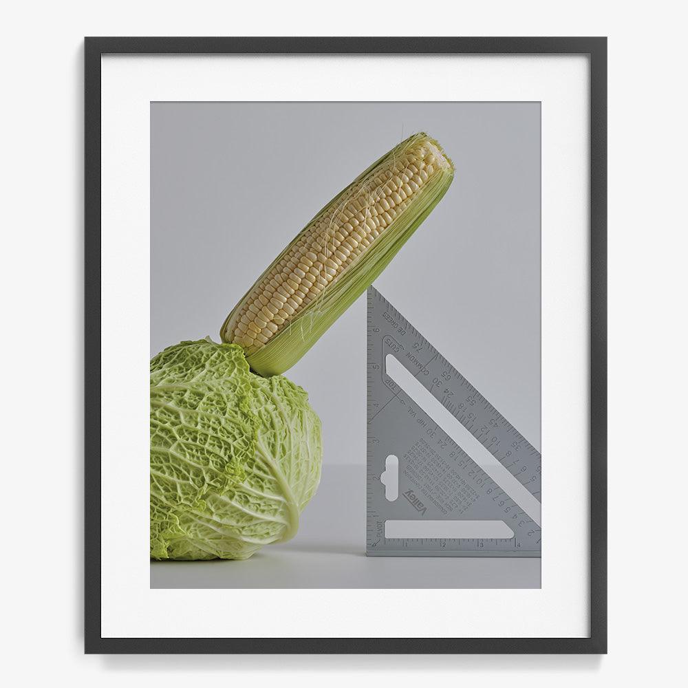 CABBAGE, CORN, SPEED SQUARE, Photograph  by  CABBAGE, CORN, SPEED SQUARE Tappan