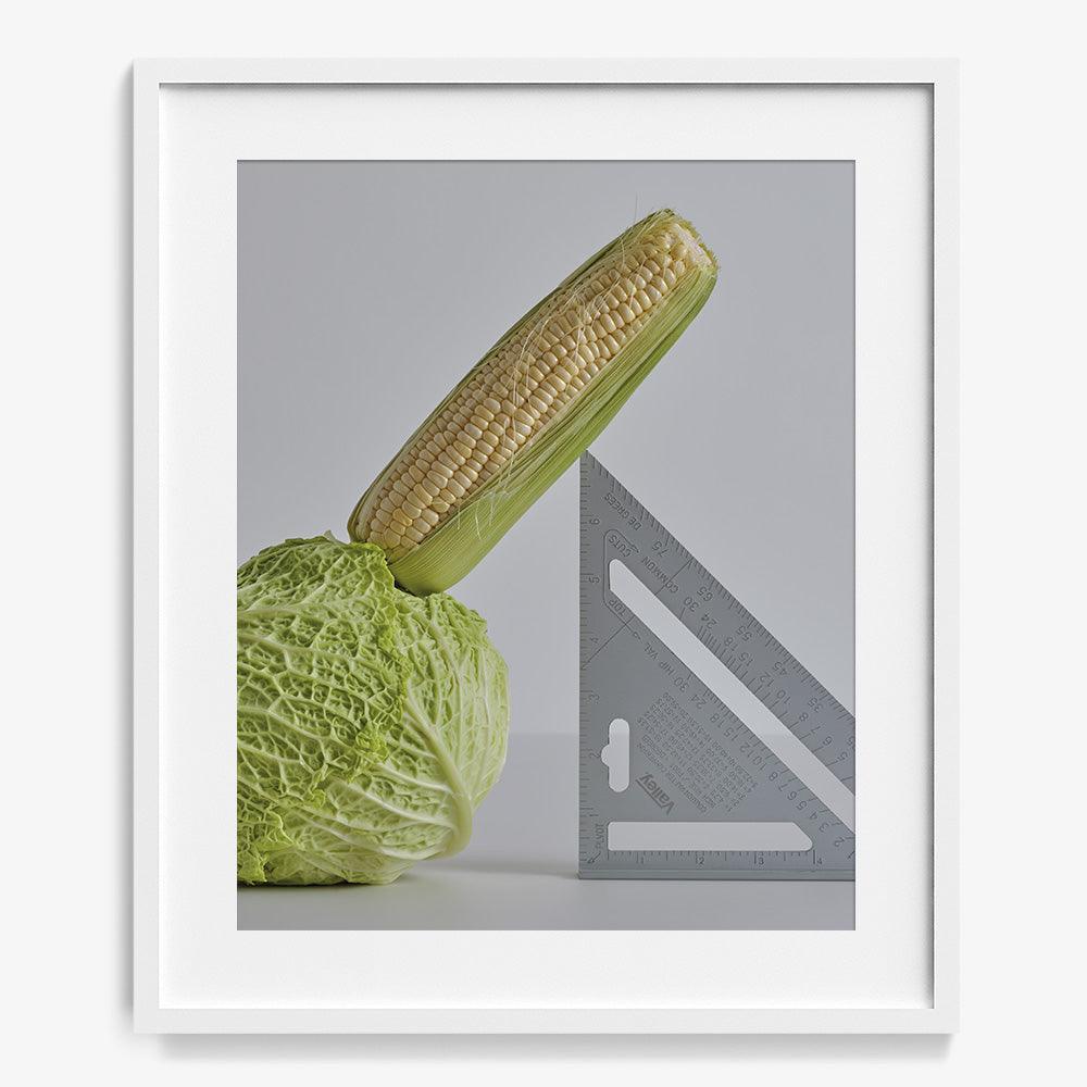 CABBAGE, CORN, SPEED SQUARE, Photograph  by  CABBAGE, CORN, SPEED SQUARE Tappan