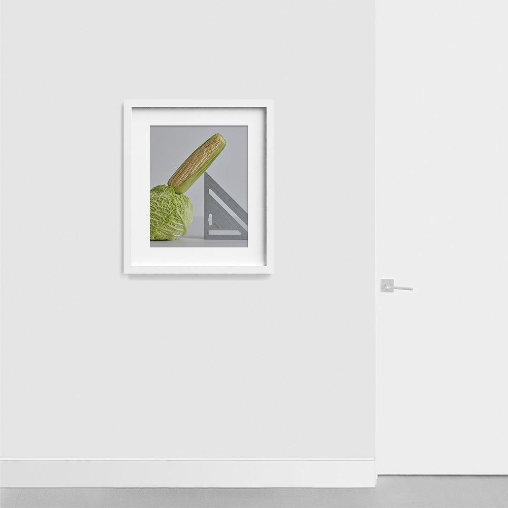 CABBAGE, CORN, SPEED SQUARE, Photograph  by  CABBAGE, CORN, SPEED SQUARE Tappan