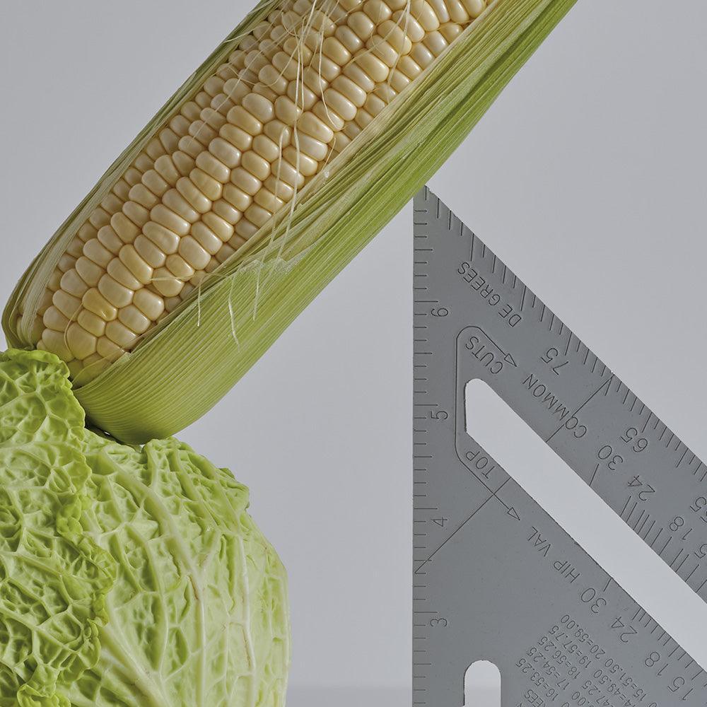 CABBAGE, CORN, SPEED SQUARE, Photograph  by  CABBAGE, CORN, SPEED SQUARE Tappan