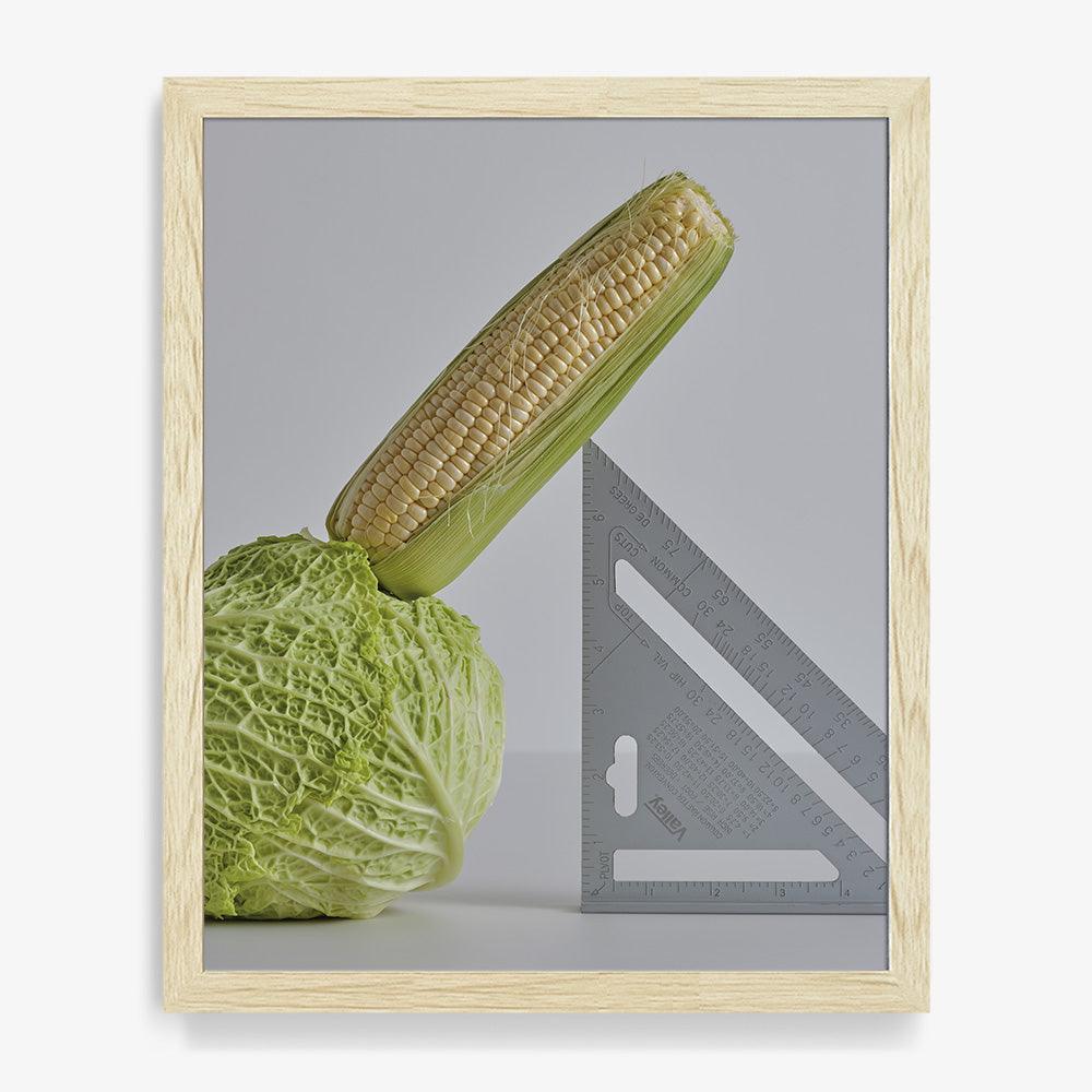 CABBAGE, CORN, SPEED SQUARE, Photograph  by  CABBAGE, CORN, SPEED SQUARE Tappan