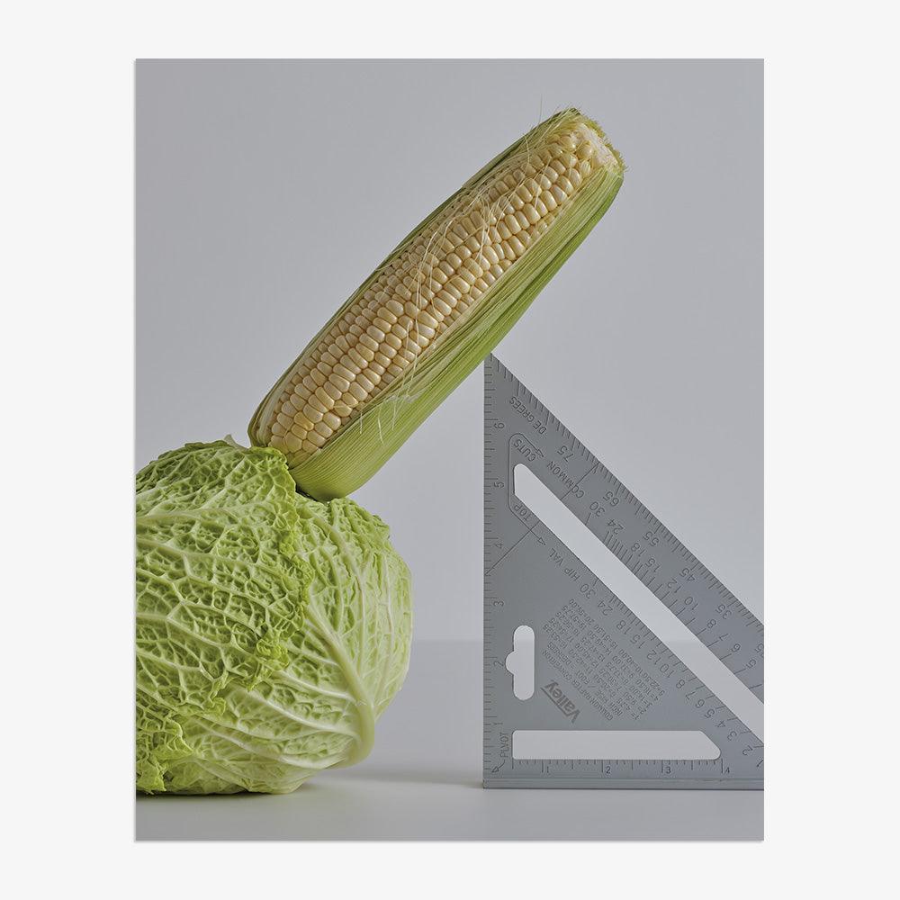 CABBAGE, CORN, SPEED SQUARE, Photograph  by  CABBAGE, CORN, SPEED SQUARE Tappan