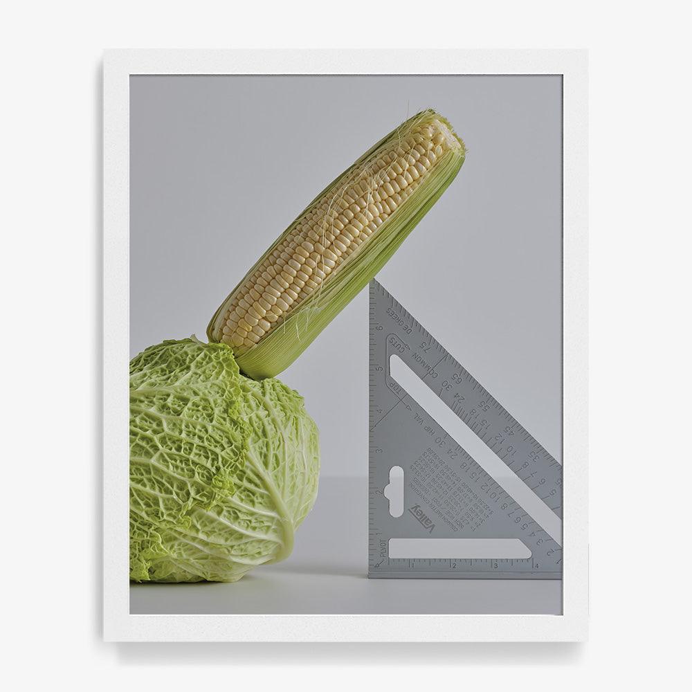 CABBAGE, CORN, SPEED SQUARE, Photograph  by  CABBAGE, CORN, SPEED SQUARE Tappan