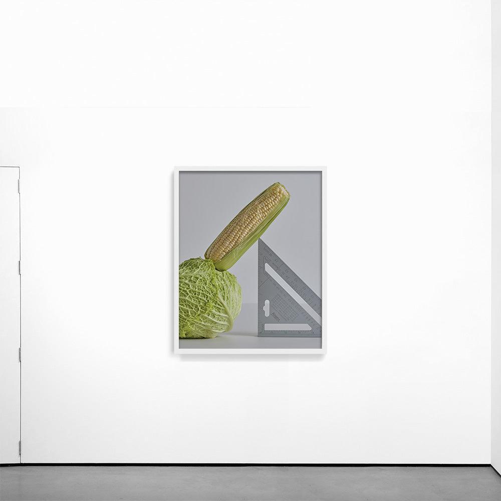 CABBAGE, CORN, SPEED SQUARE, Photograph  by  CABBAGE, CORN, SPEED SQUARE Tappan