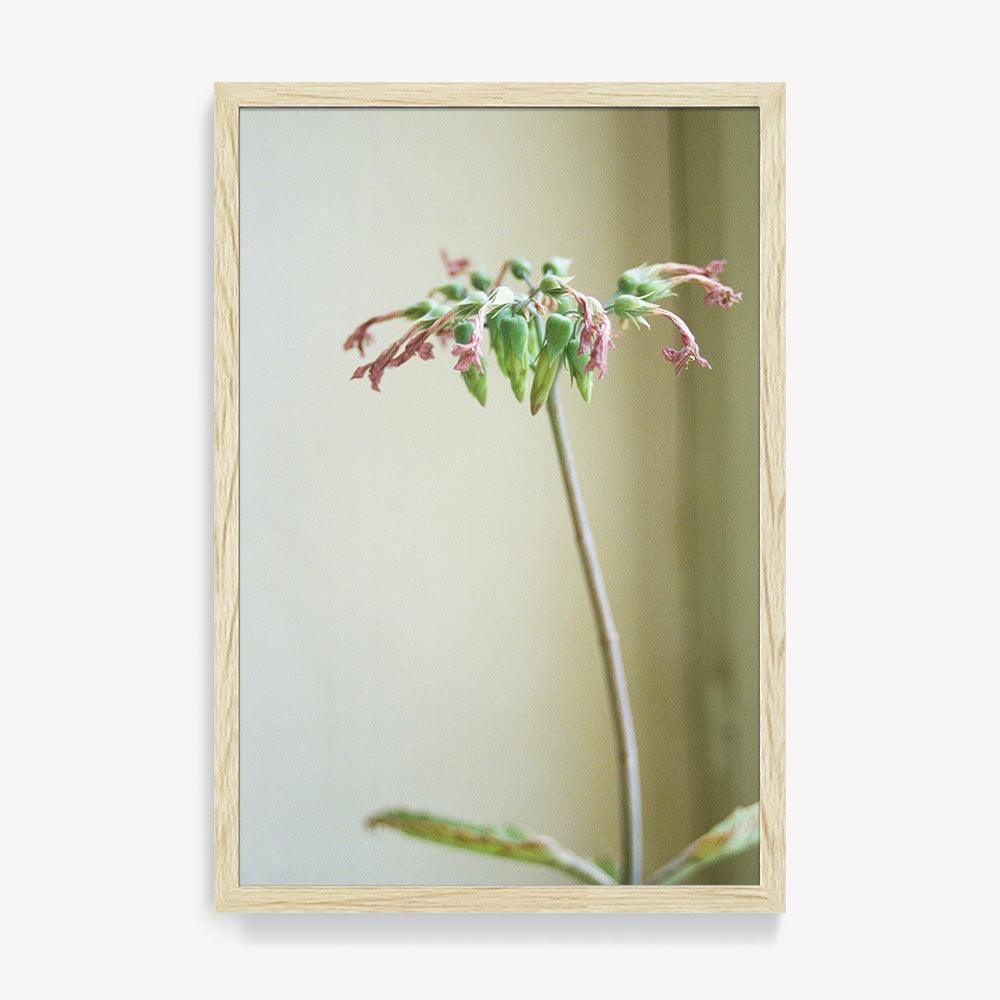 Photograph by Johanna Tagada Hoffbeck
