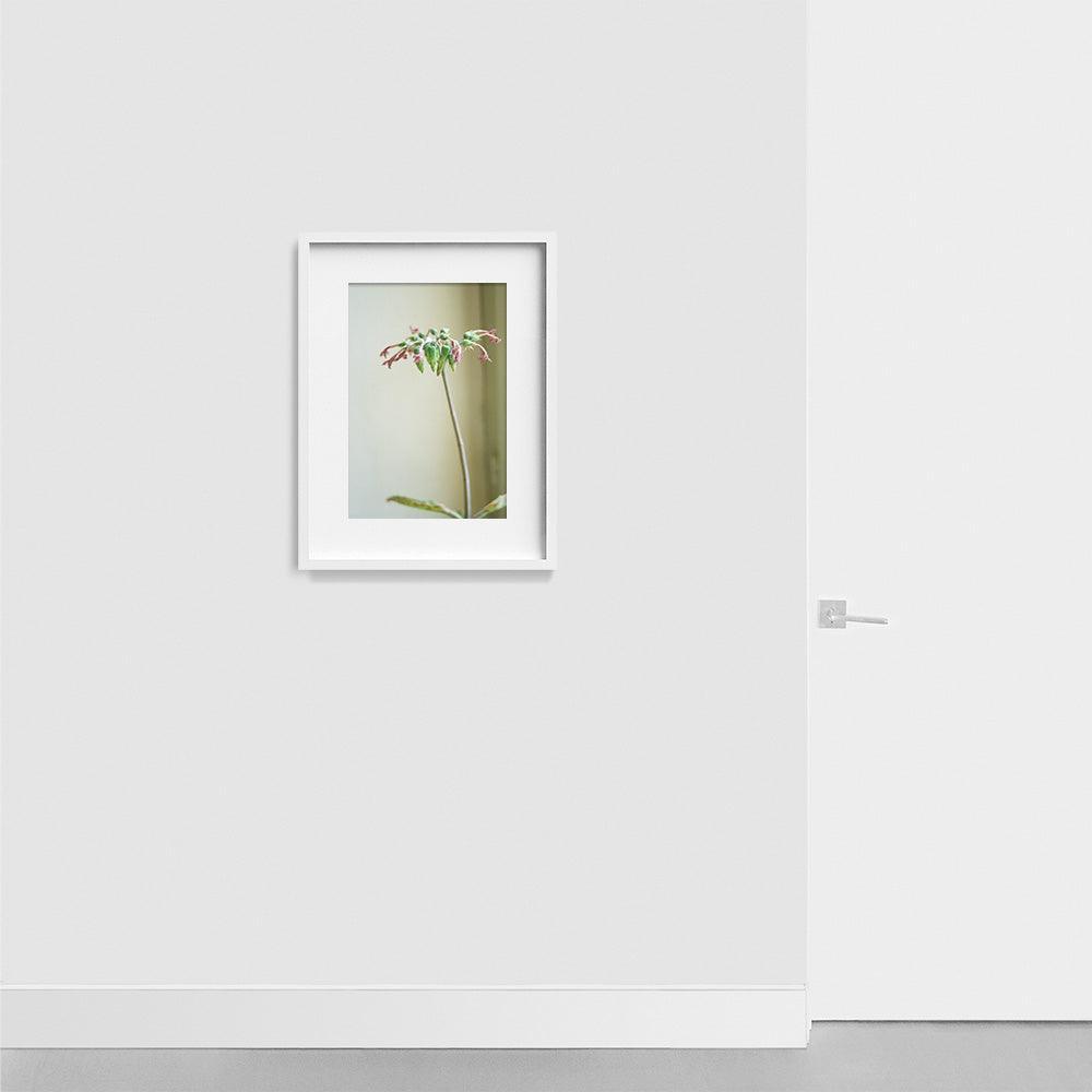 Photograph by Johanna Tagada Hoffbeck