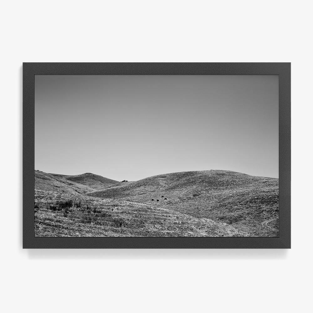 Photograph by Isaac Zoller