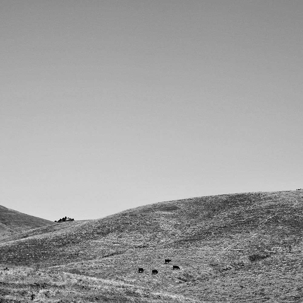 California Hills, Photograph  by  California Hills Tappan