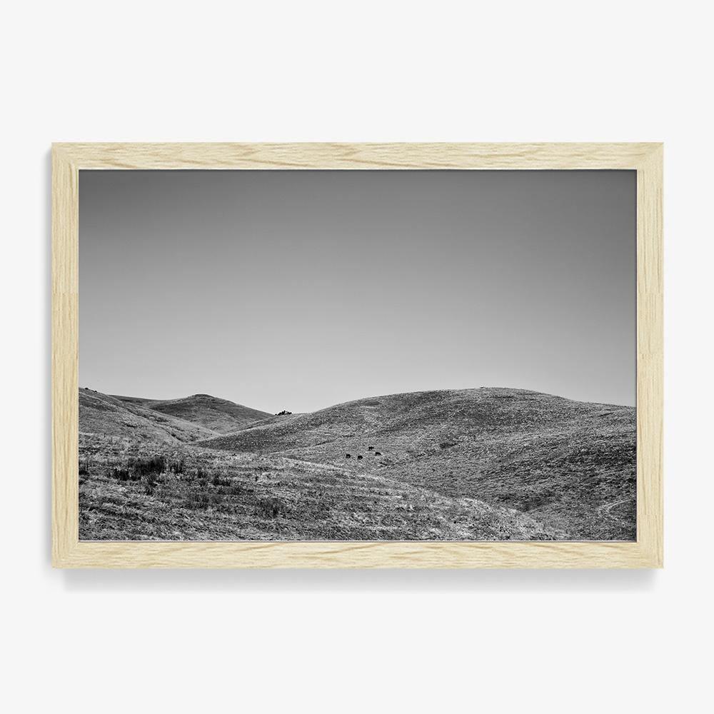Photograph by Isaac Zoller