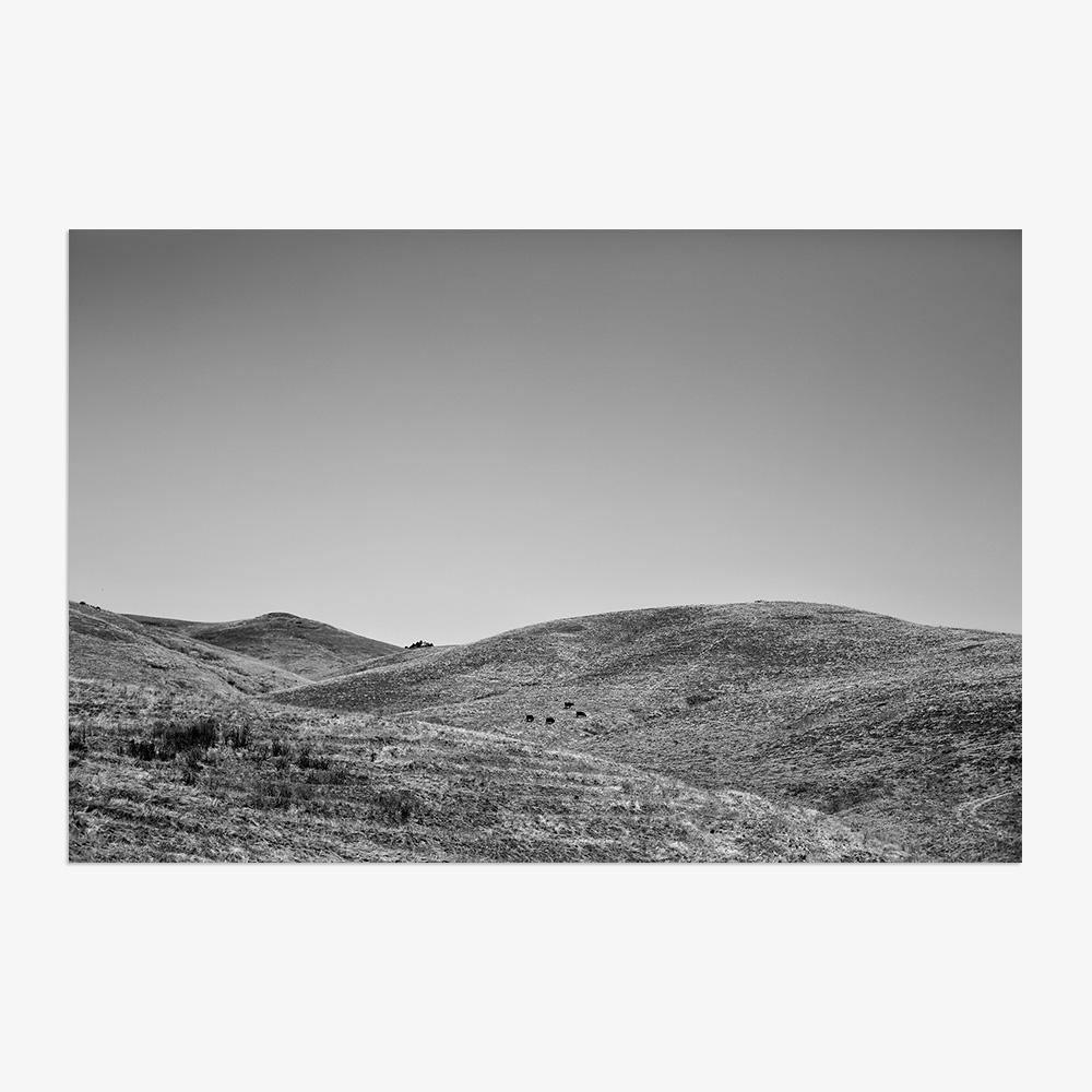 Photograph by Isaac Zoller