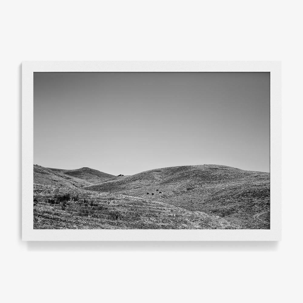 Photograph by Isaac Zoller