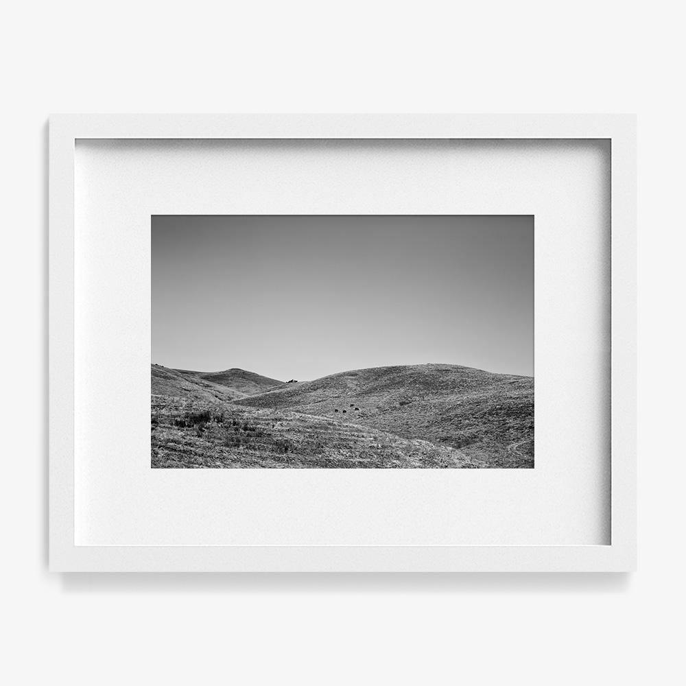 Photograph by Isaac Zoller