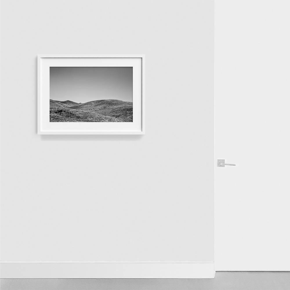 Photograph by Isaac Zoller