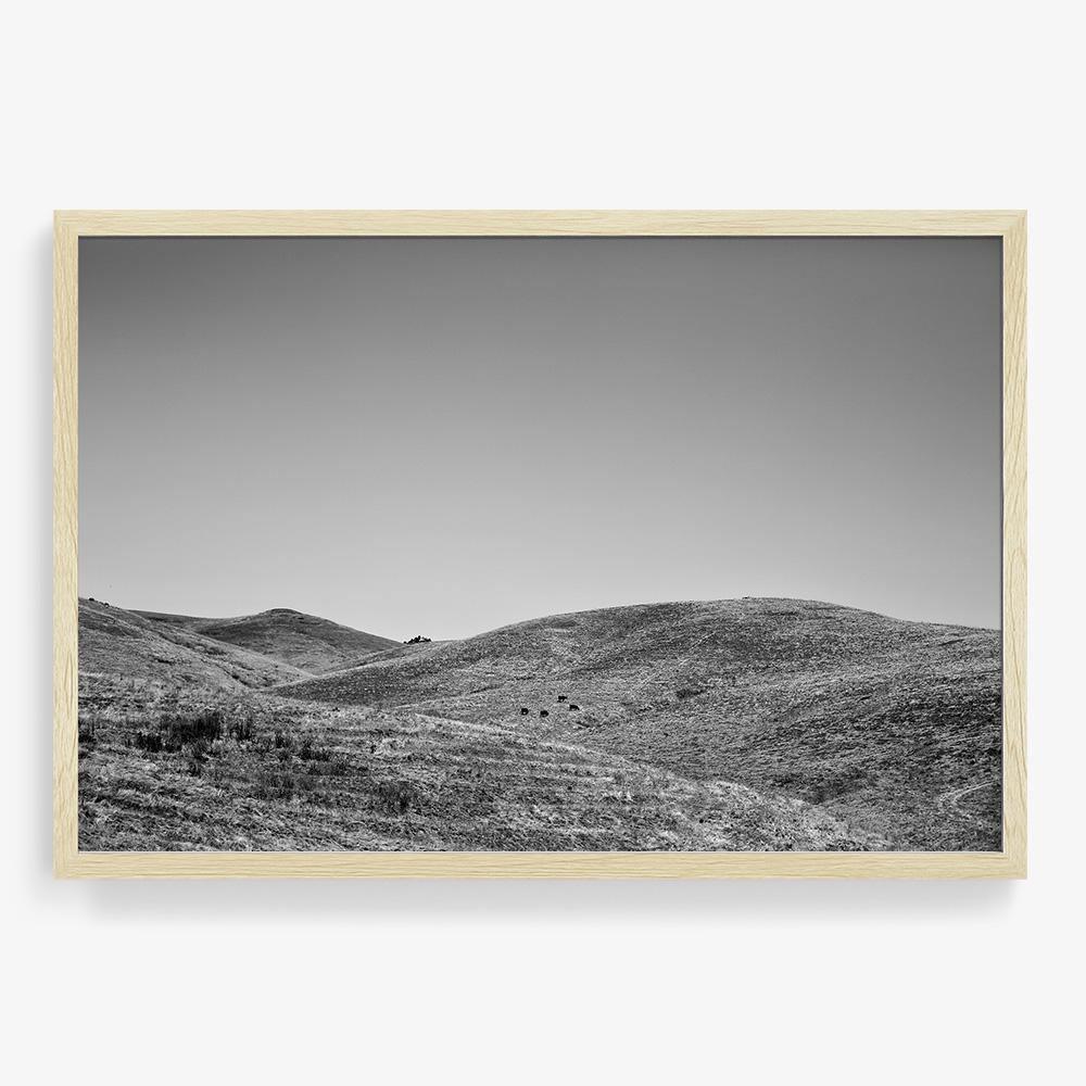 Photograph by Isaac Zoller