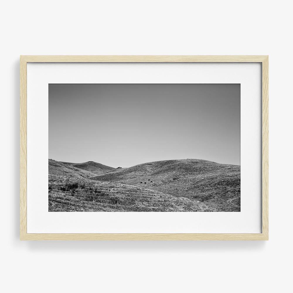 Photograph by Isaac Zoller