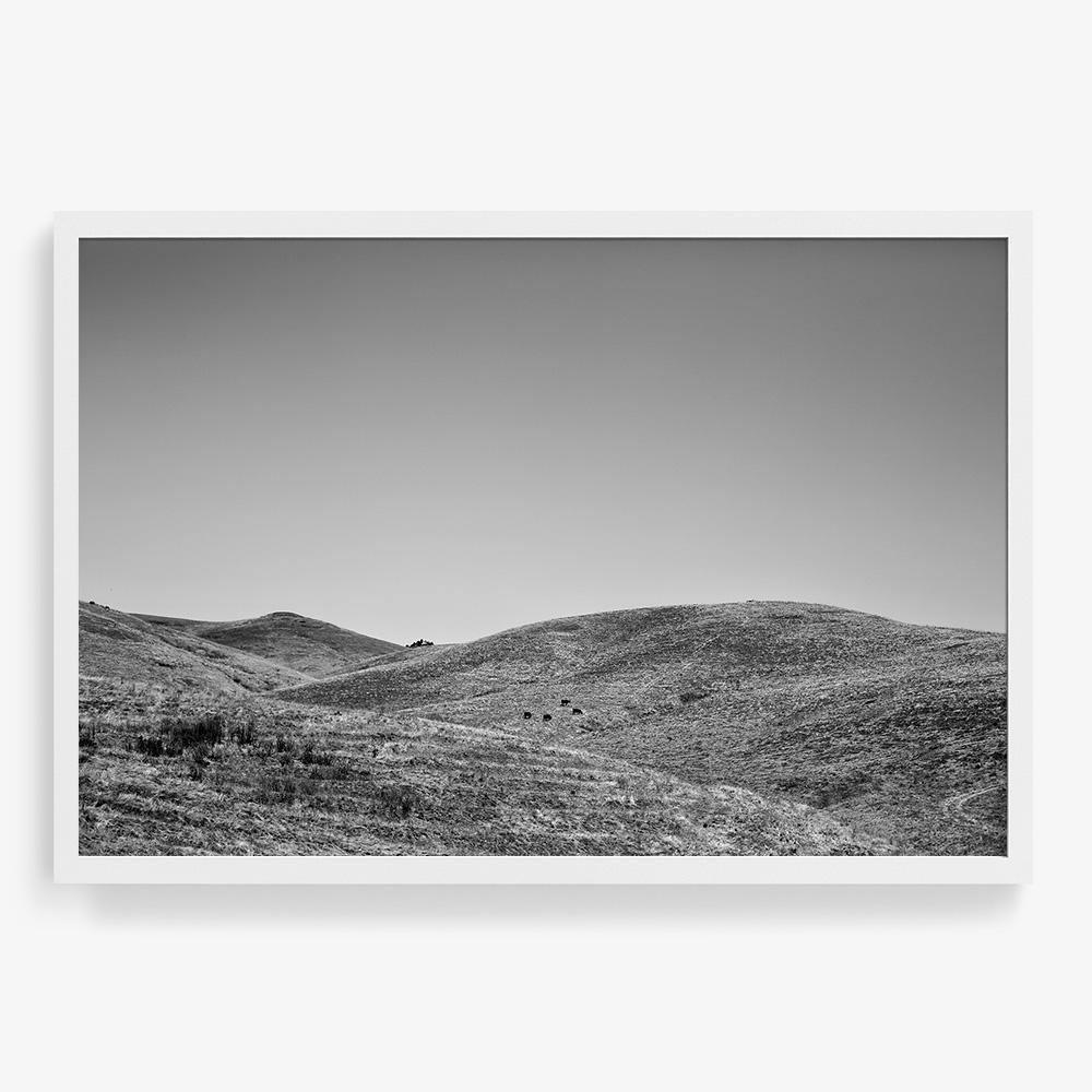 Photograph by Isaac Zoller