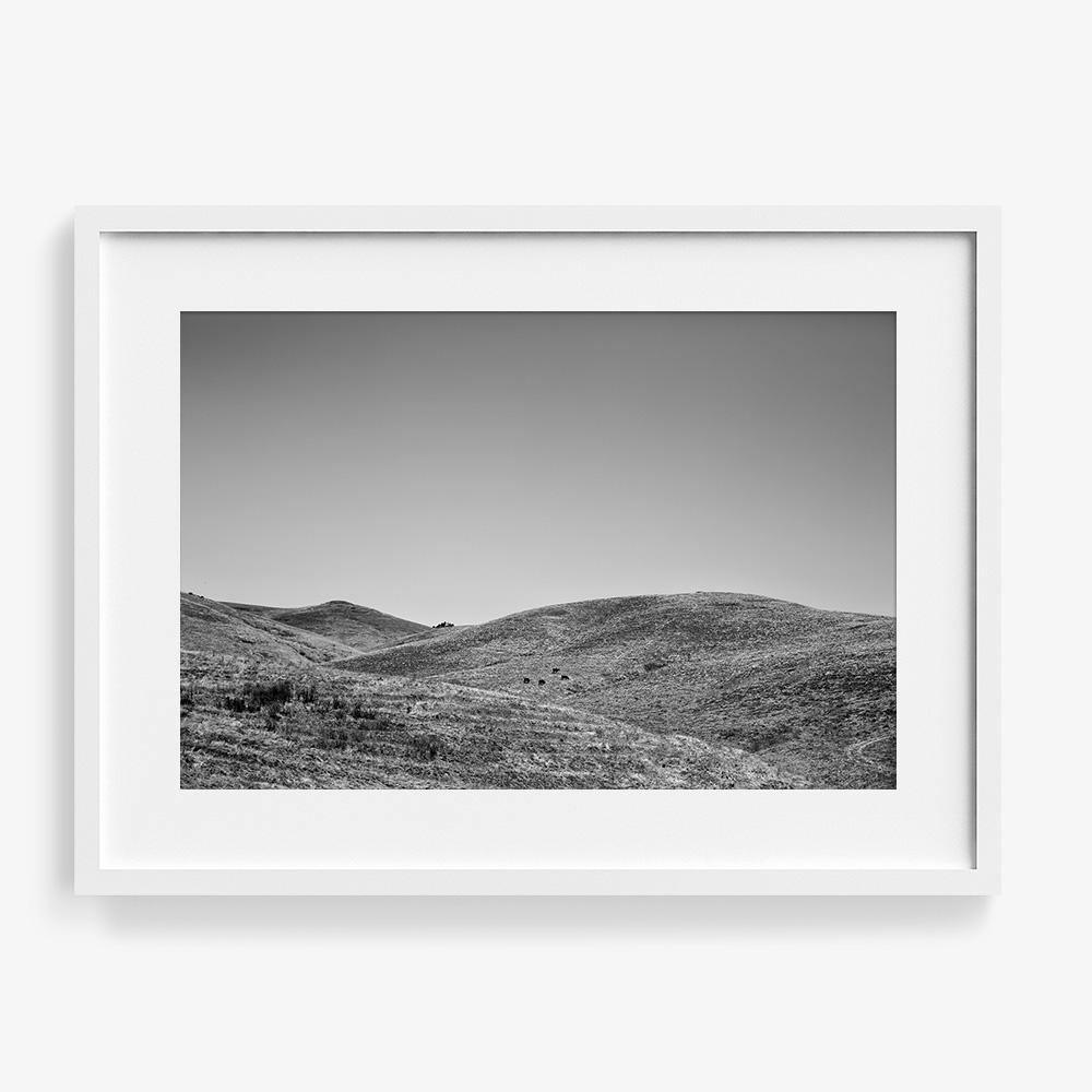 Photograph by Isaac Zoller