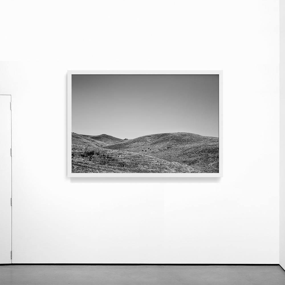 Photograph by Isaac Zoller