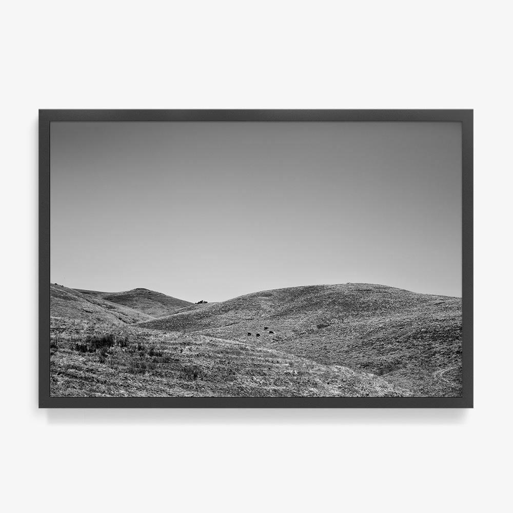 Photograph by Isaac Zoller