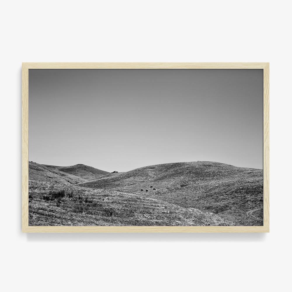 Photograph by Isaac Zoller
