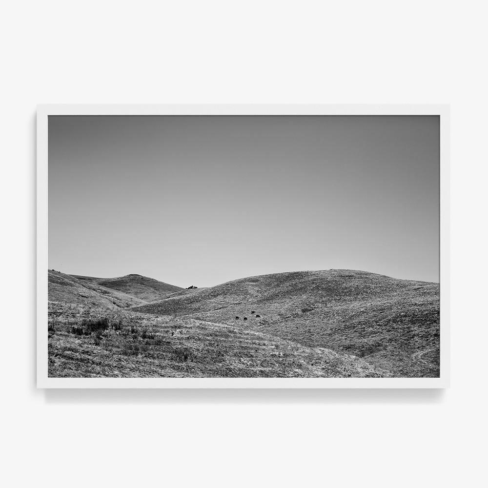Photograph by Isaac Zoller