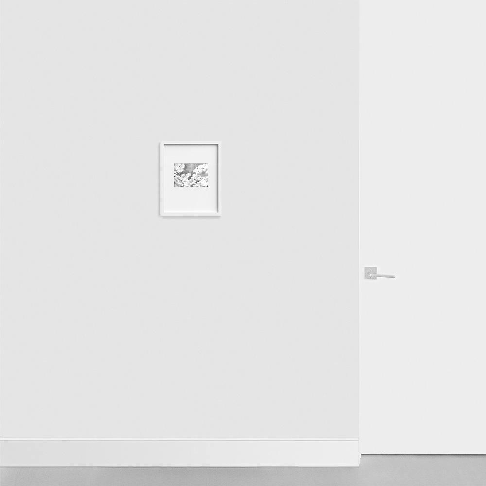 Drawing by Martinet & Texereau
