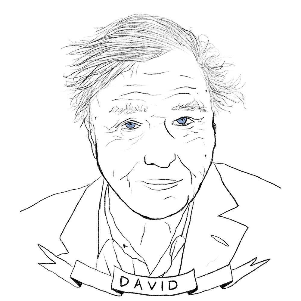 David Attenborough, Print  by  David Attenborough Tappan