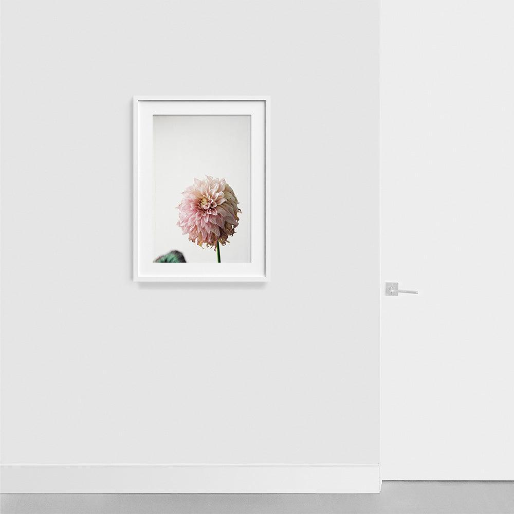 Photograph by Johanna Tagada Hoffbeck