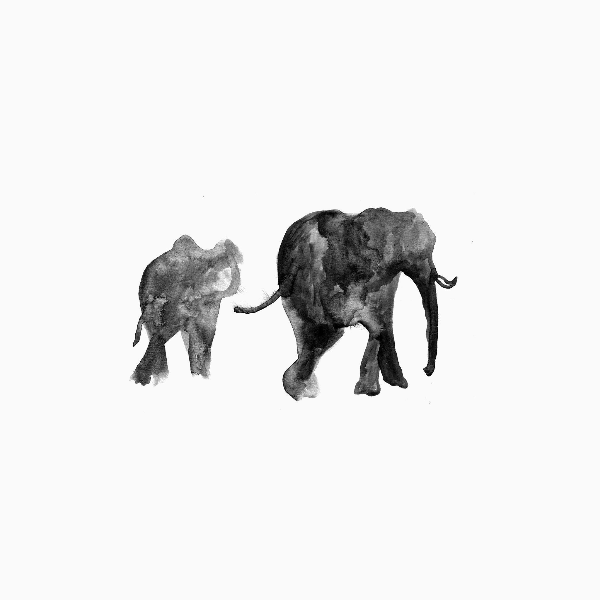 Elephant Print - Dana Veraldi - Print - Tappan Collective