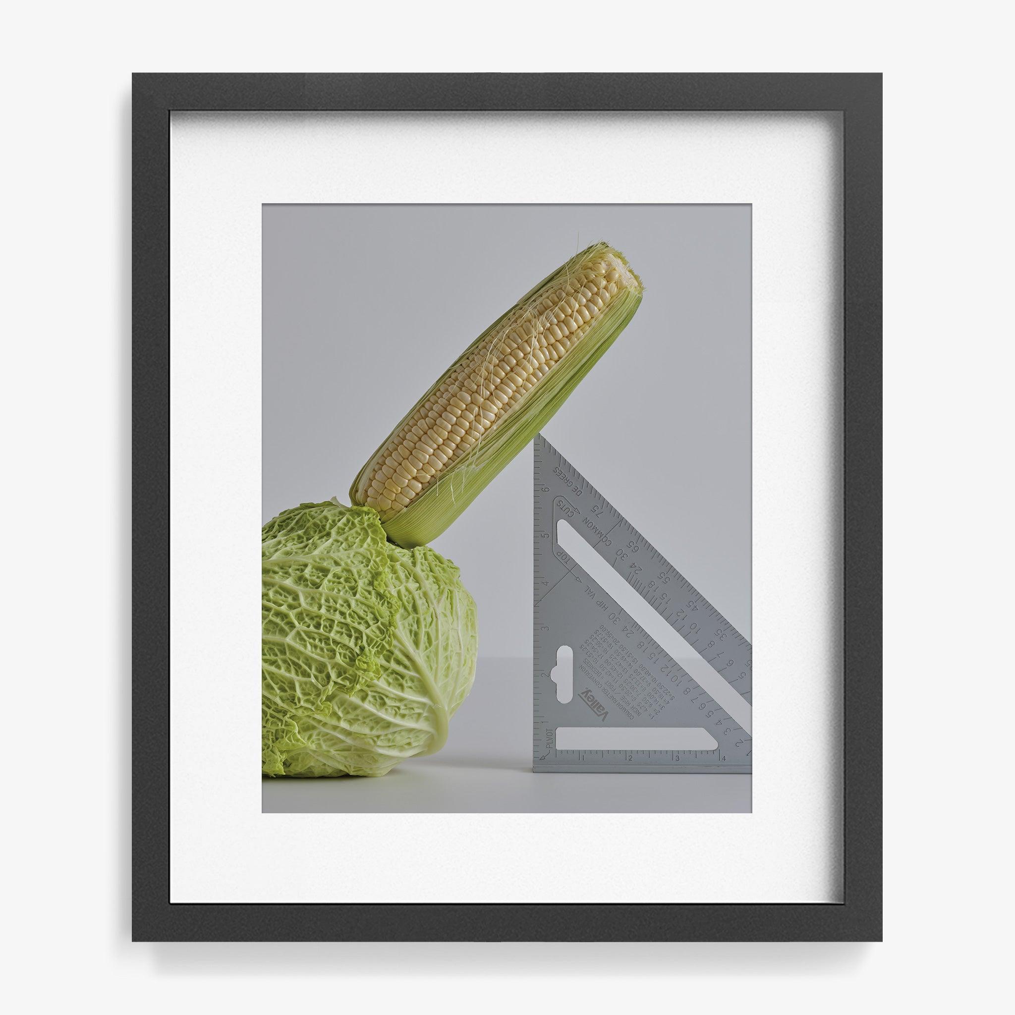 CABBAGE, CORN, SPEED SQUARE, Photograph  by  CABBAGE, CORN, SPEED SQUARE Tappan