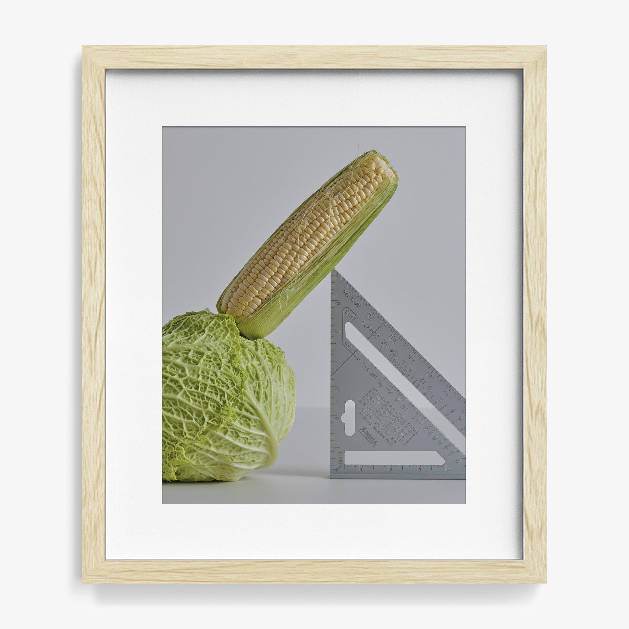 CABBAGE, CORN, SPEED SQUARE, Photograph  by  CABBAGE, CORN, SPEED SQUARE Tappan