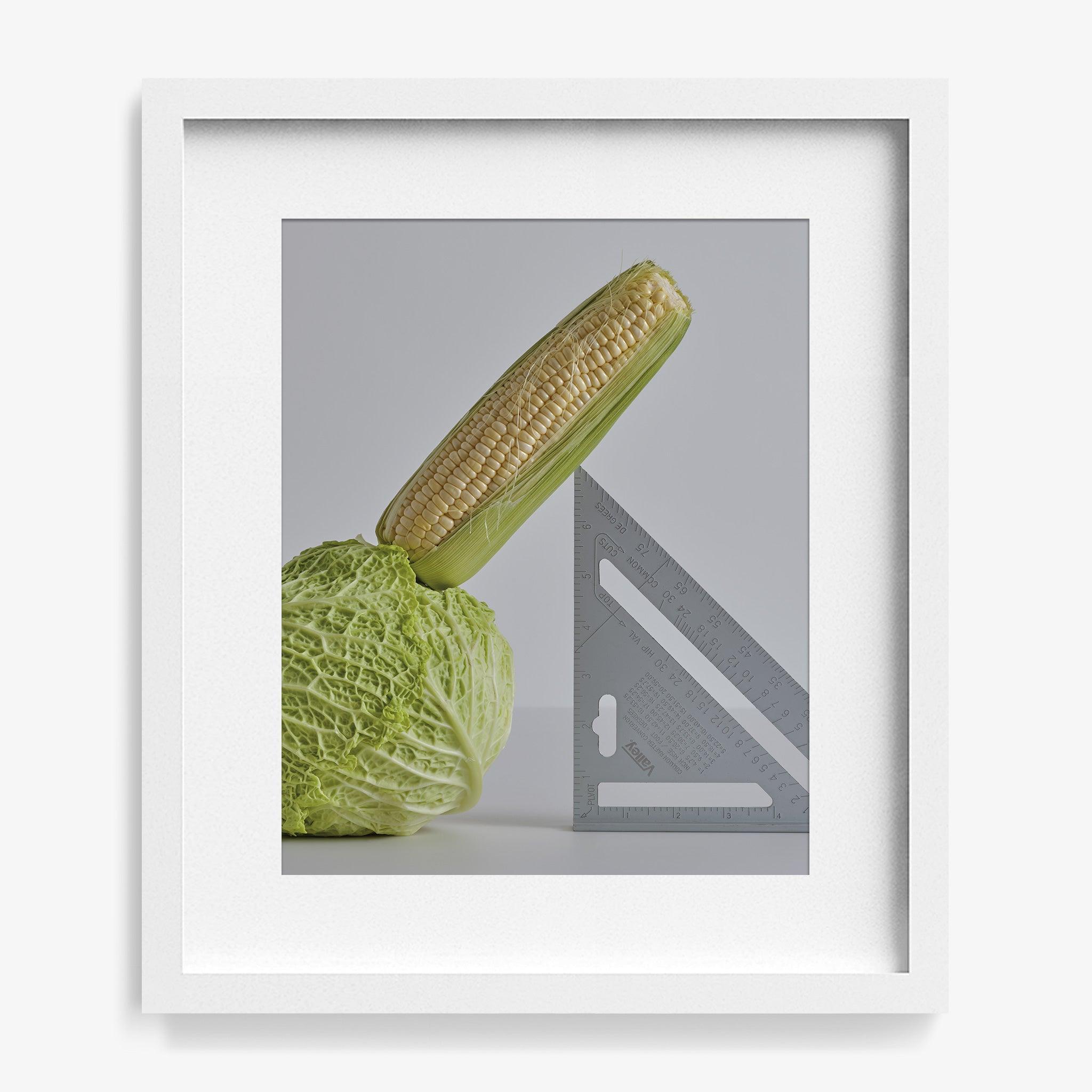 CABBAGE, CORN, SPEED SQUARE, Photograph  by  CABBAGE, CORN, SPEED SQUARE Tappan
