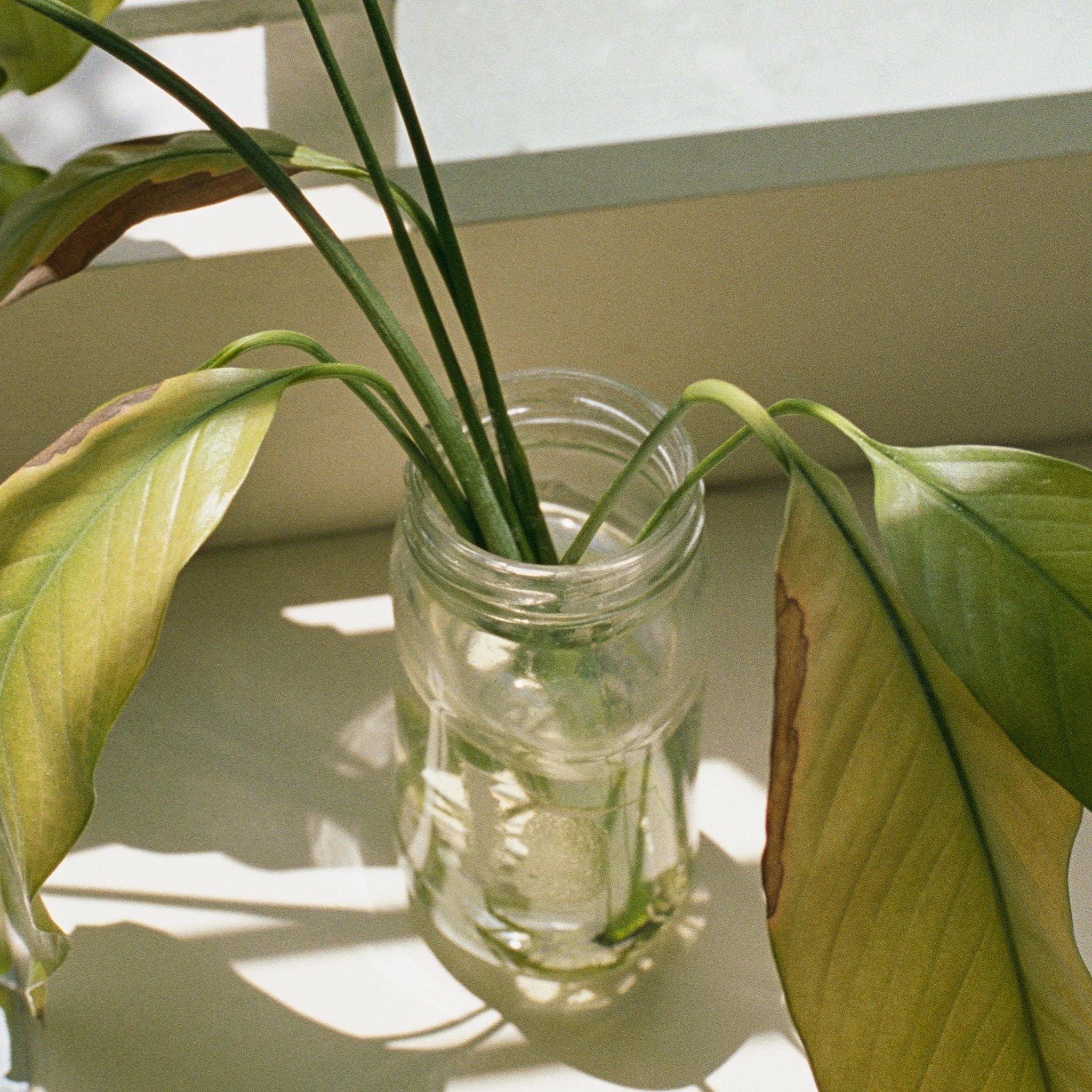 Photography by David Kitz