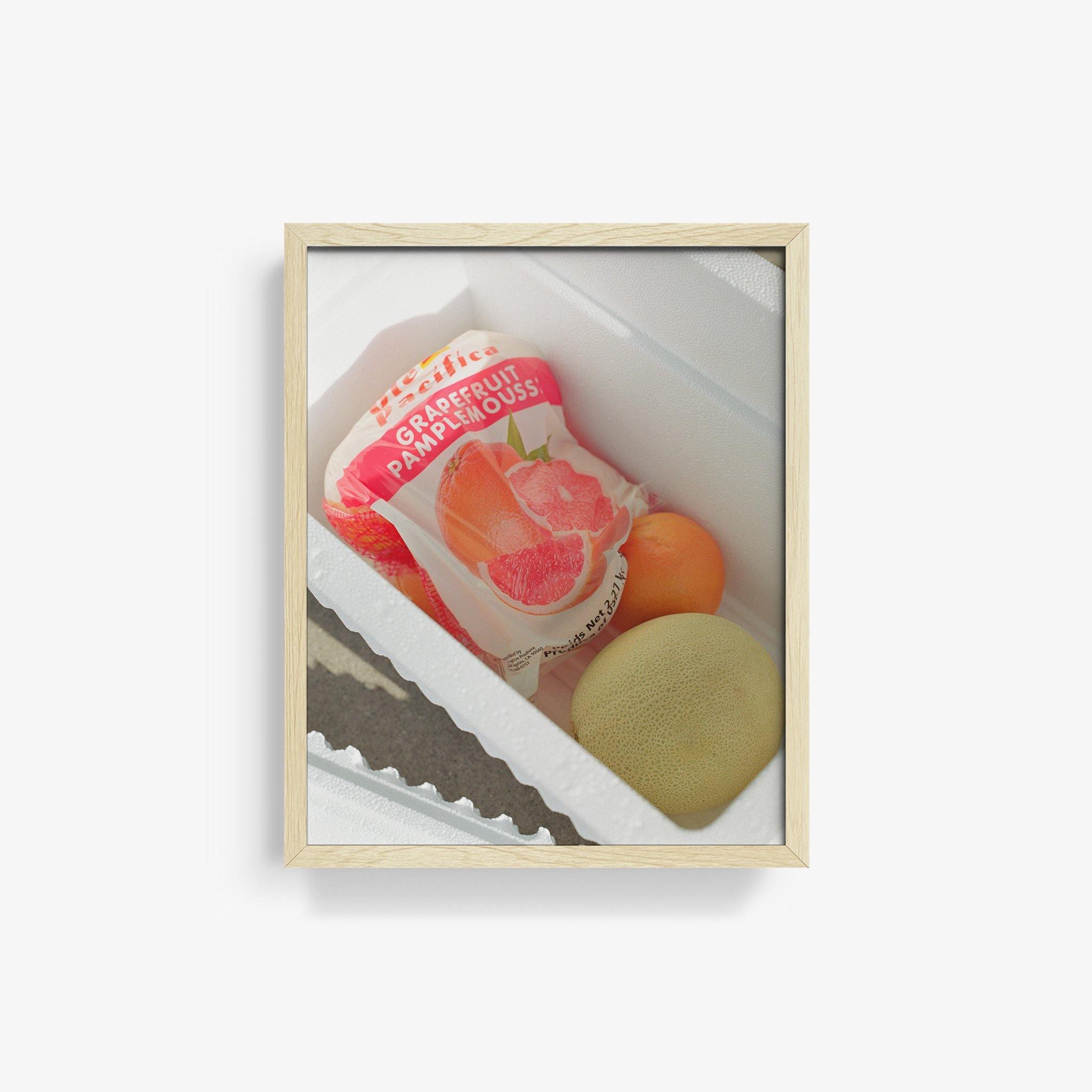Pamplamousse, Photography  by  Pamplamousse Tappan