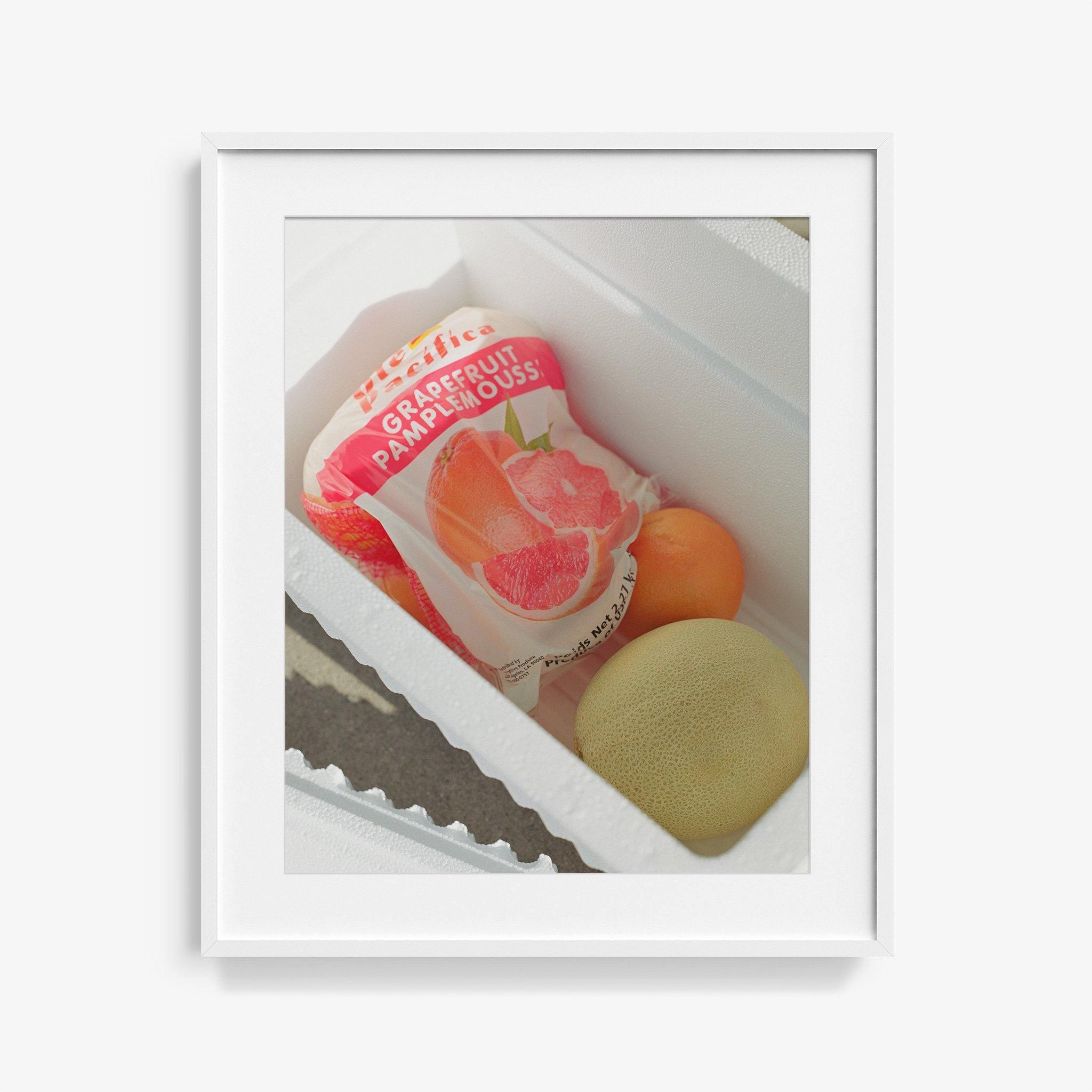 Pamplamousse, Photography  by  Pamplamousse Tappan