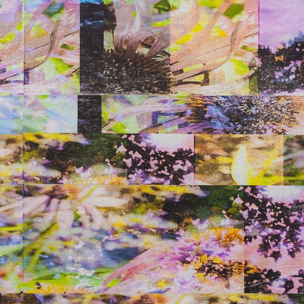 Painting by Jeff Kraus