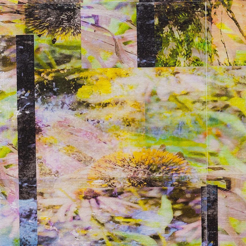 Painting by Jeff Kraus