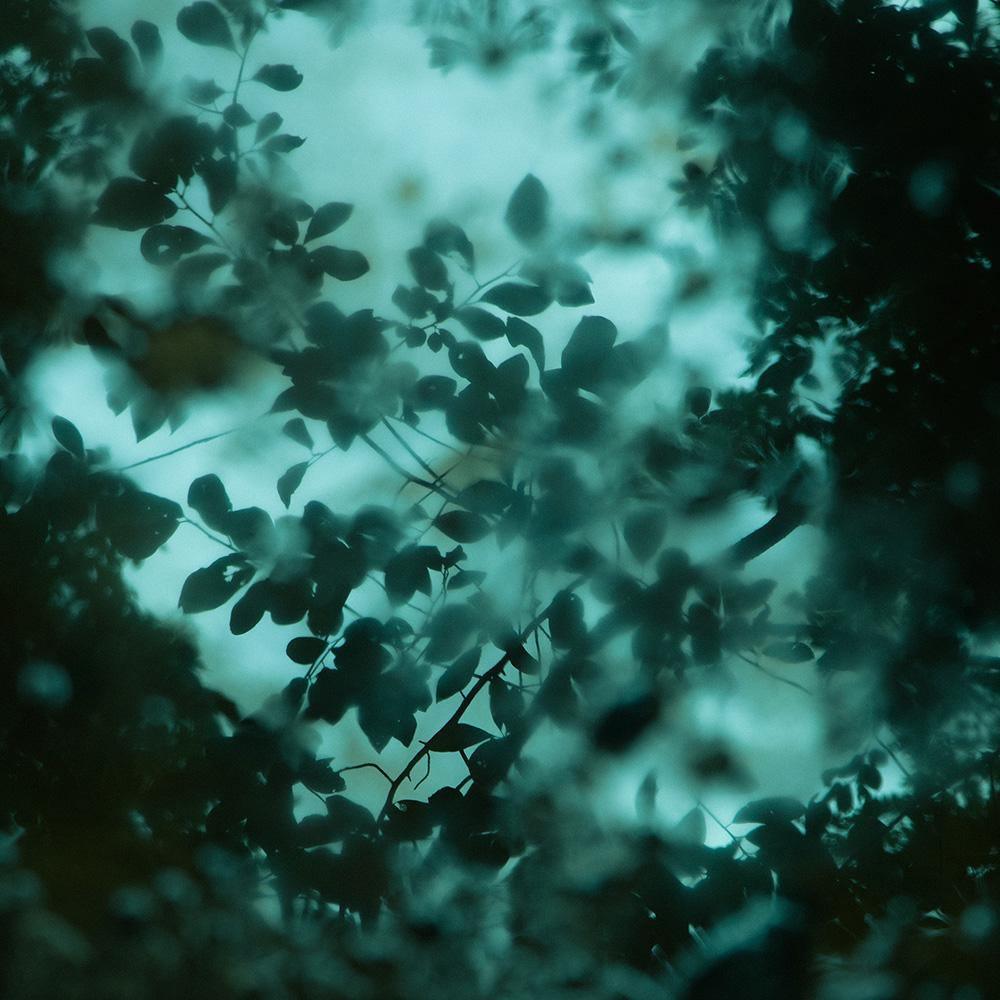 Diffusion, Photograph  by  Diffusion Tappan