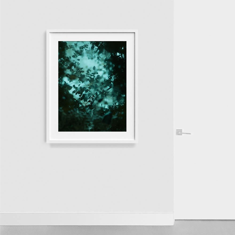 Diffusion, Photograph  by  Diffusion Tappan