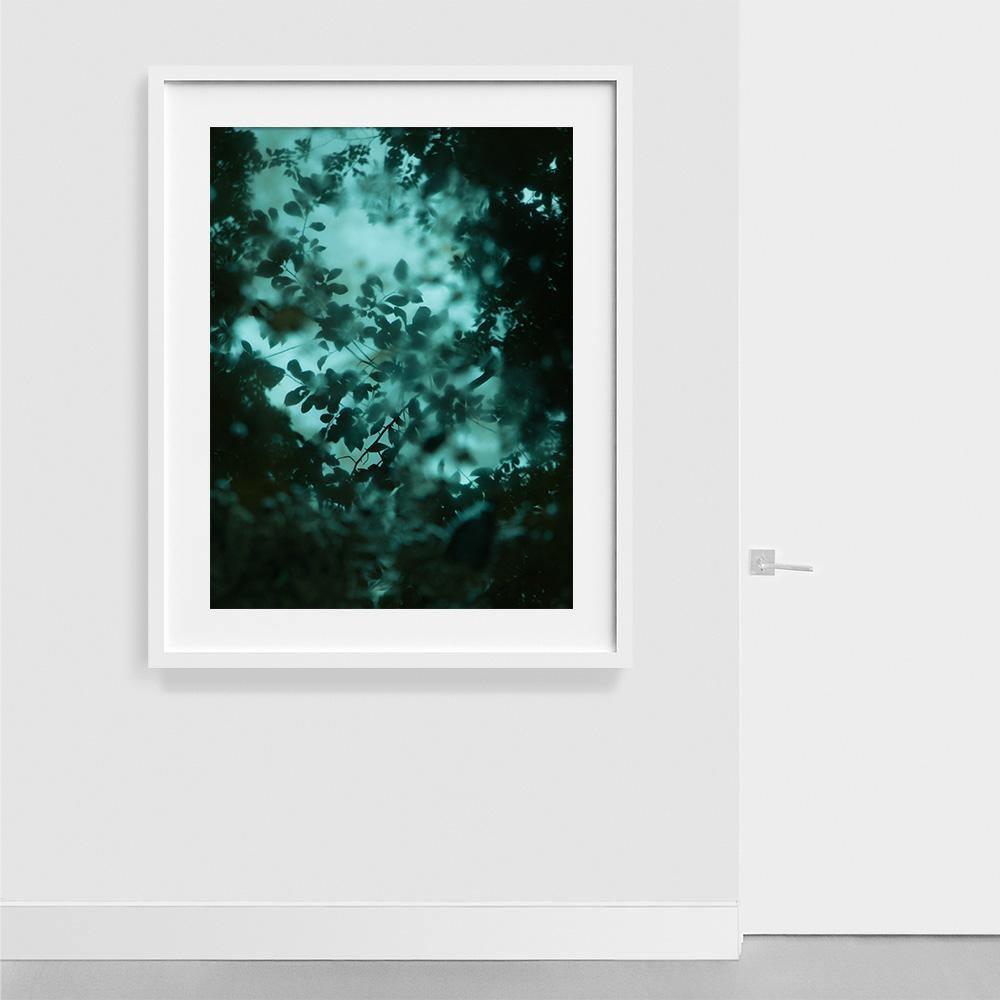 Diffusion, Photograph  by  Diffusion Tappan