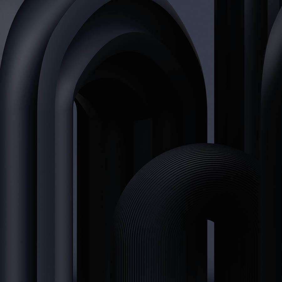 Black Iris I, Print  by  Black Iris I Tappan