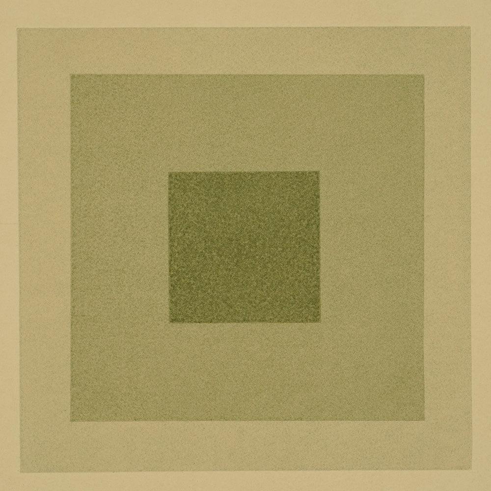 Dye Study Ghost, Marigold, Indigo & Iron , Work on Paper by Dye Study Ghost, Marigold, Indigo & Iron Tappan