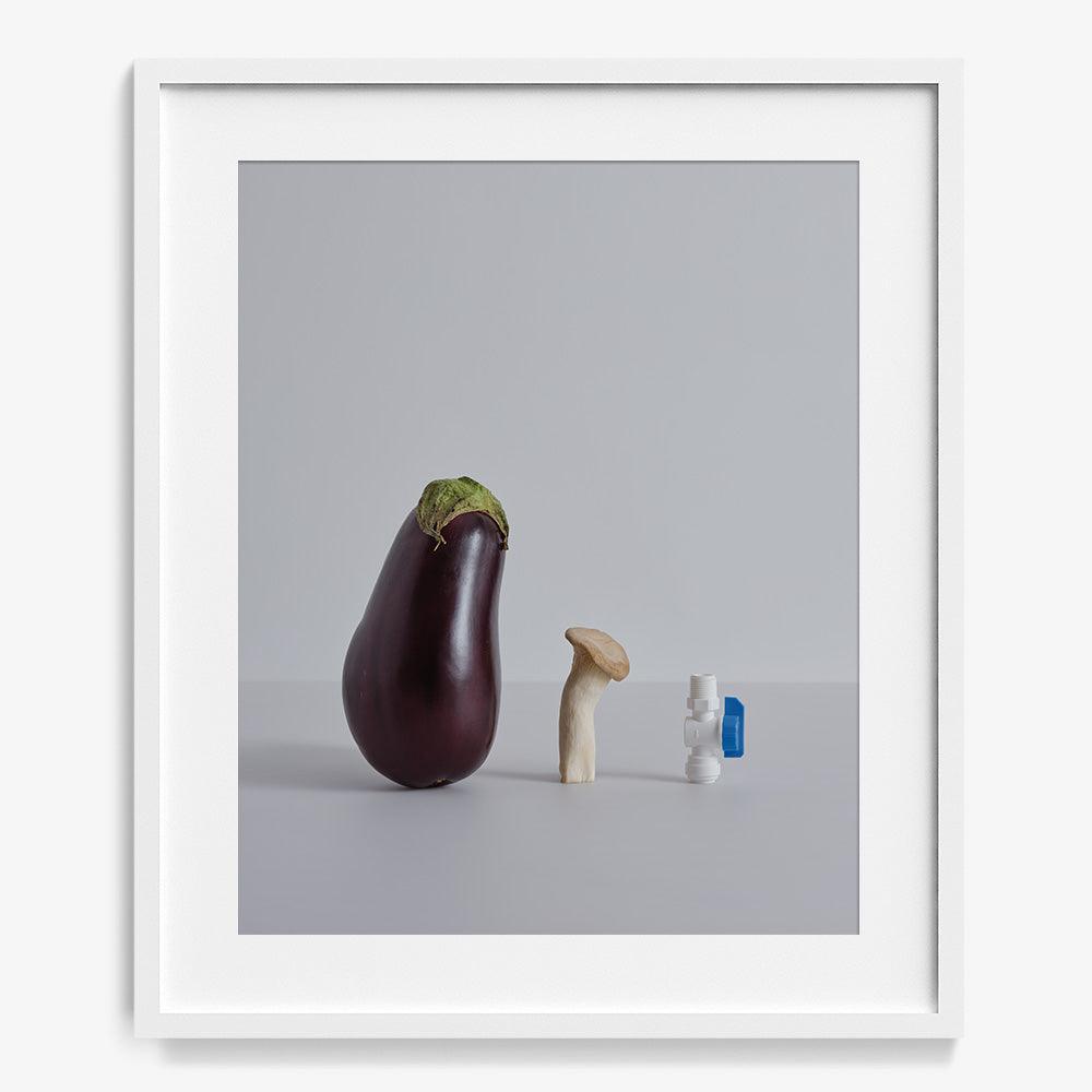 Photograph by David Kitz