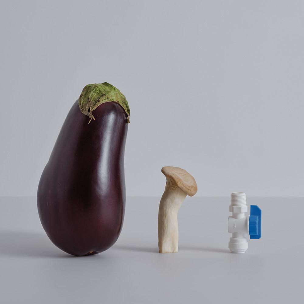 Photograph by David Kitz